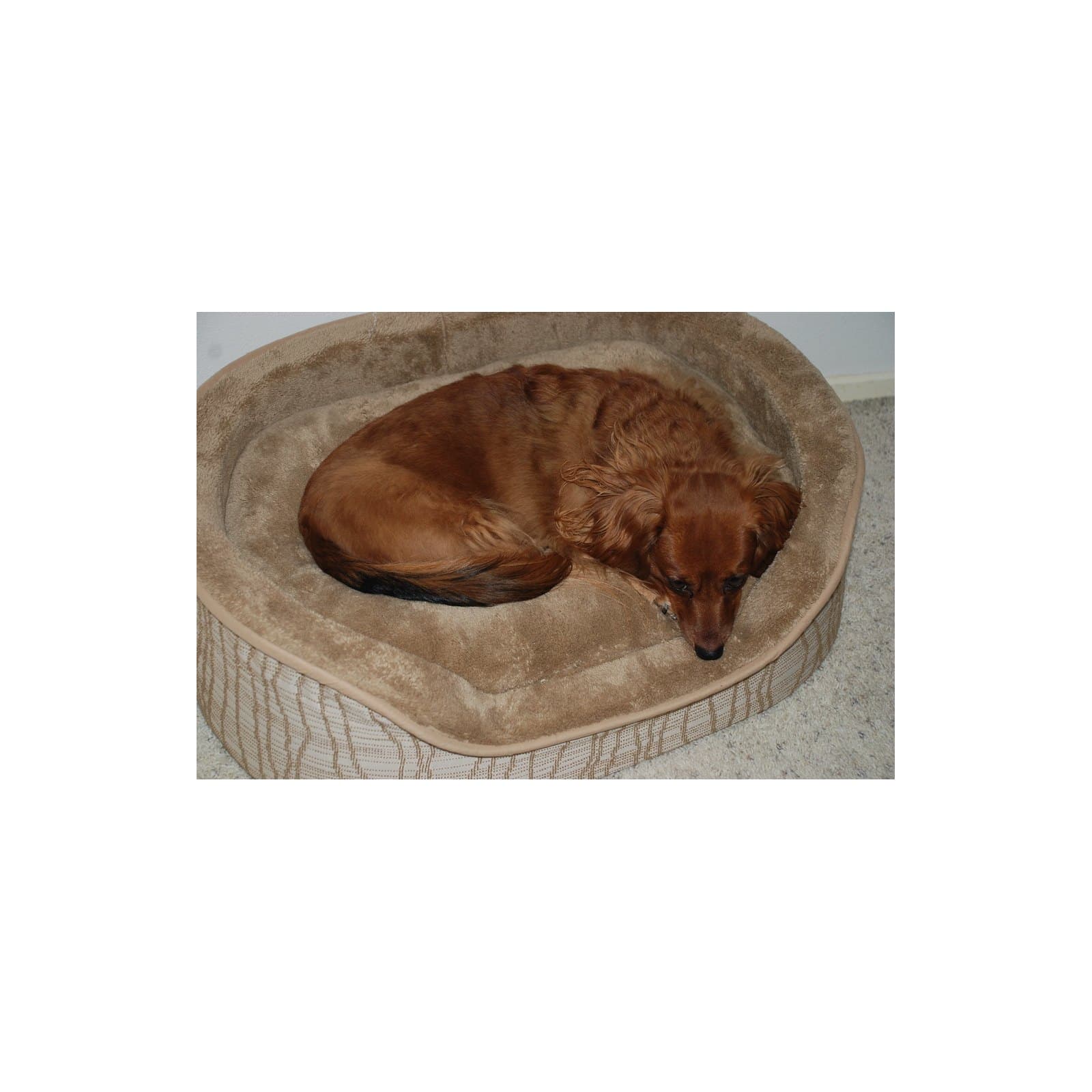 Bolster Dog Bed — product photo