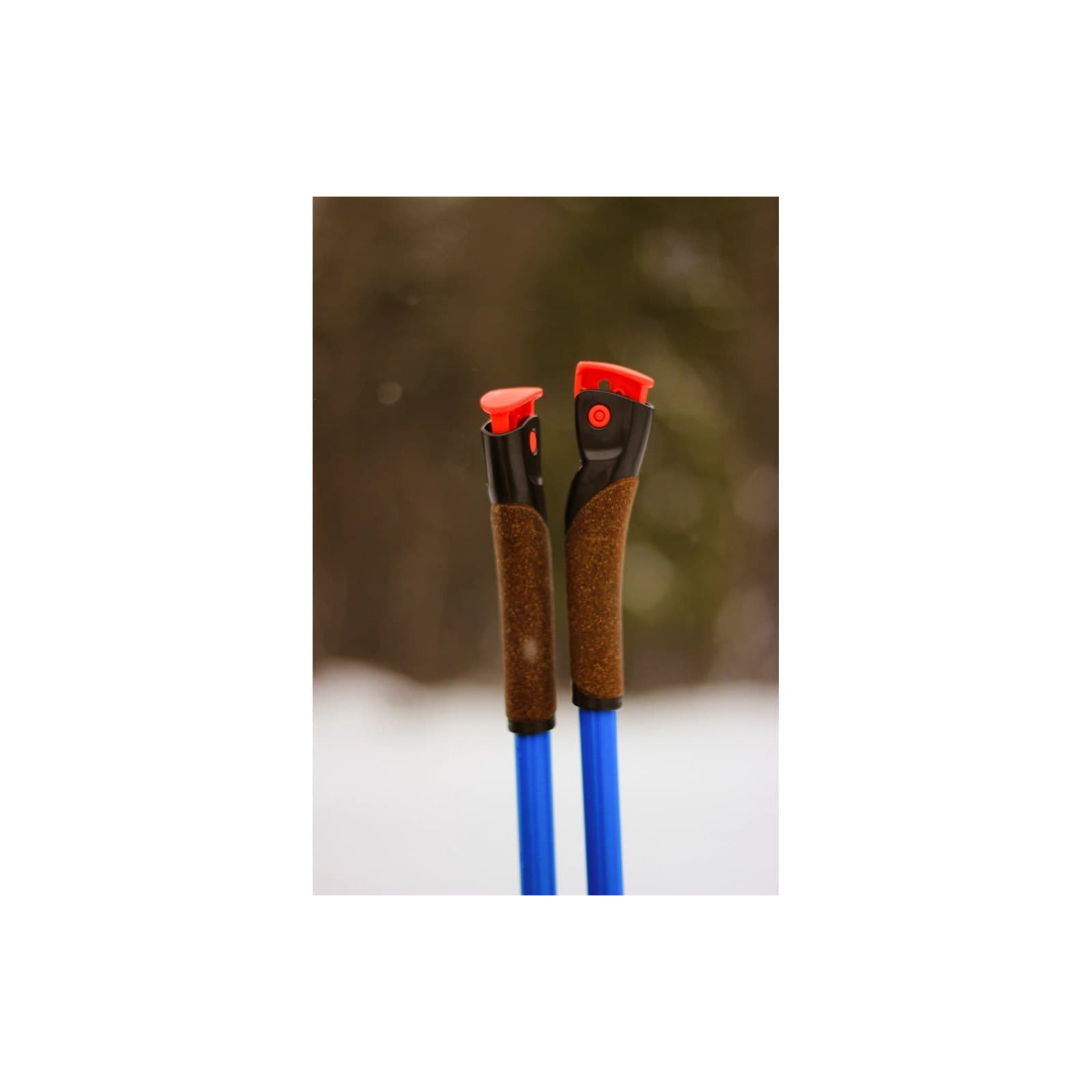 Kinetix Alpine Trekking Poles — product photo